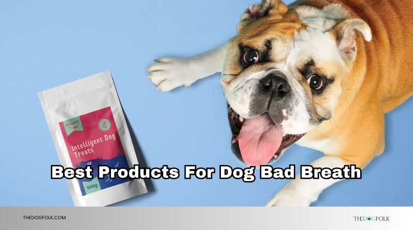 best products for dog bad breath