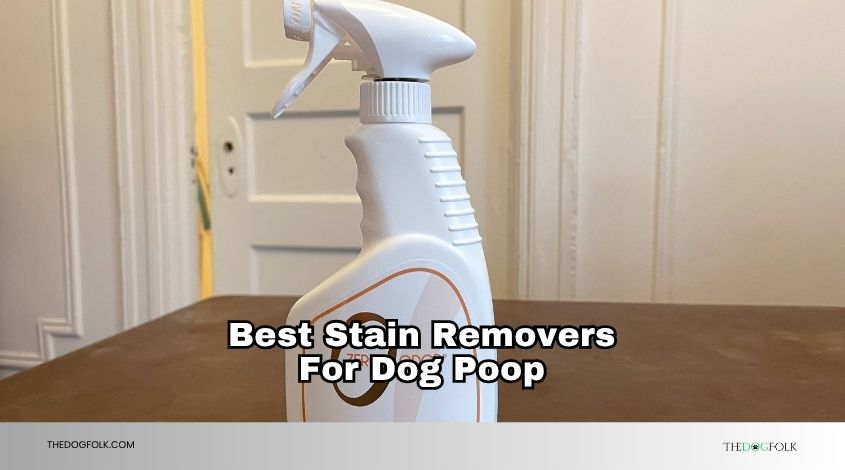 best stain removers for dog poop