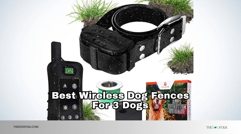 best wireless dog fences for 3 dogs